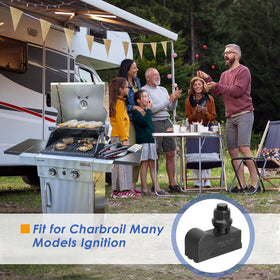 BBQration DHLG-12 easy-install kit for fast replacement.
