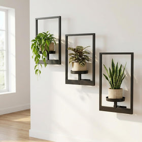 bbteroiu ideal living room decor with plants and modern gold frame