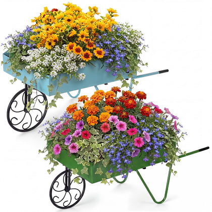 BBTO blue wheelbarrow planter adds portable color to the garden.