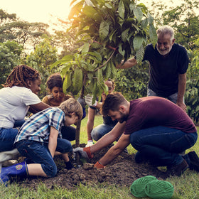 BBTO easy-cut roll enables quick setup and tidy cleanup in the garden.