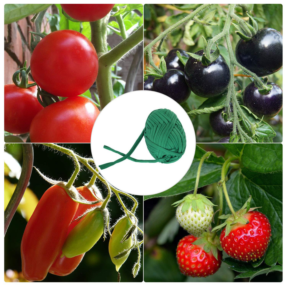 BBTO elastic garden cord expands with plant growth for steady support.