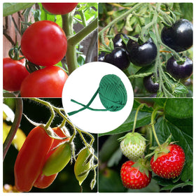 BBTO elastic garden cord expands with plant growth for steady support.