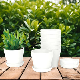 Bchjatk 8-pcs white round planters on a bright windowsill display