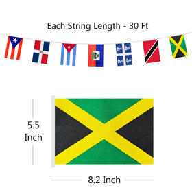BCLin flag string close-up shows sharp colors and durable material
