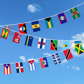 BCLin party decor flag string for festive events