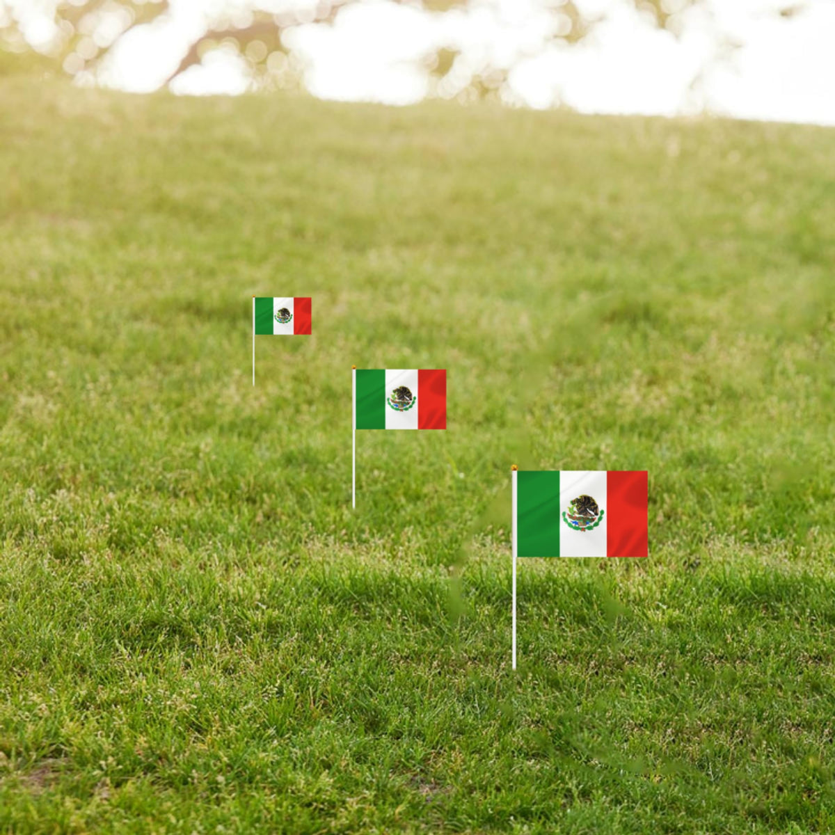 Outdoor parade-ready flags from BCLin with durable sticks