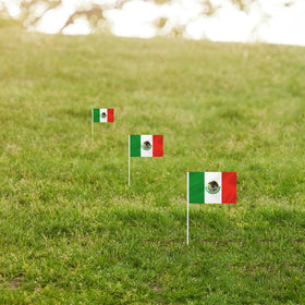 Outdoor parade-ready flags from BCLin with durable sticks