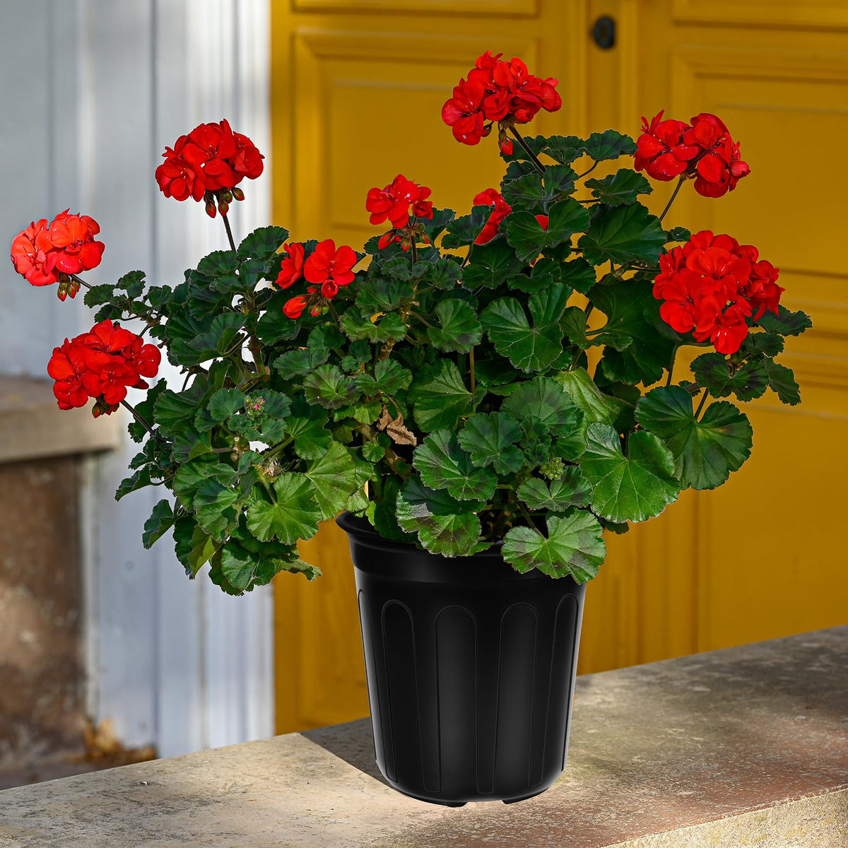 BeapTcely versatile garden pot suitable for herbs and succulents.