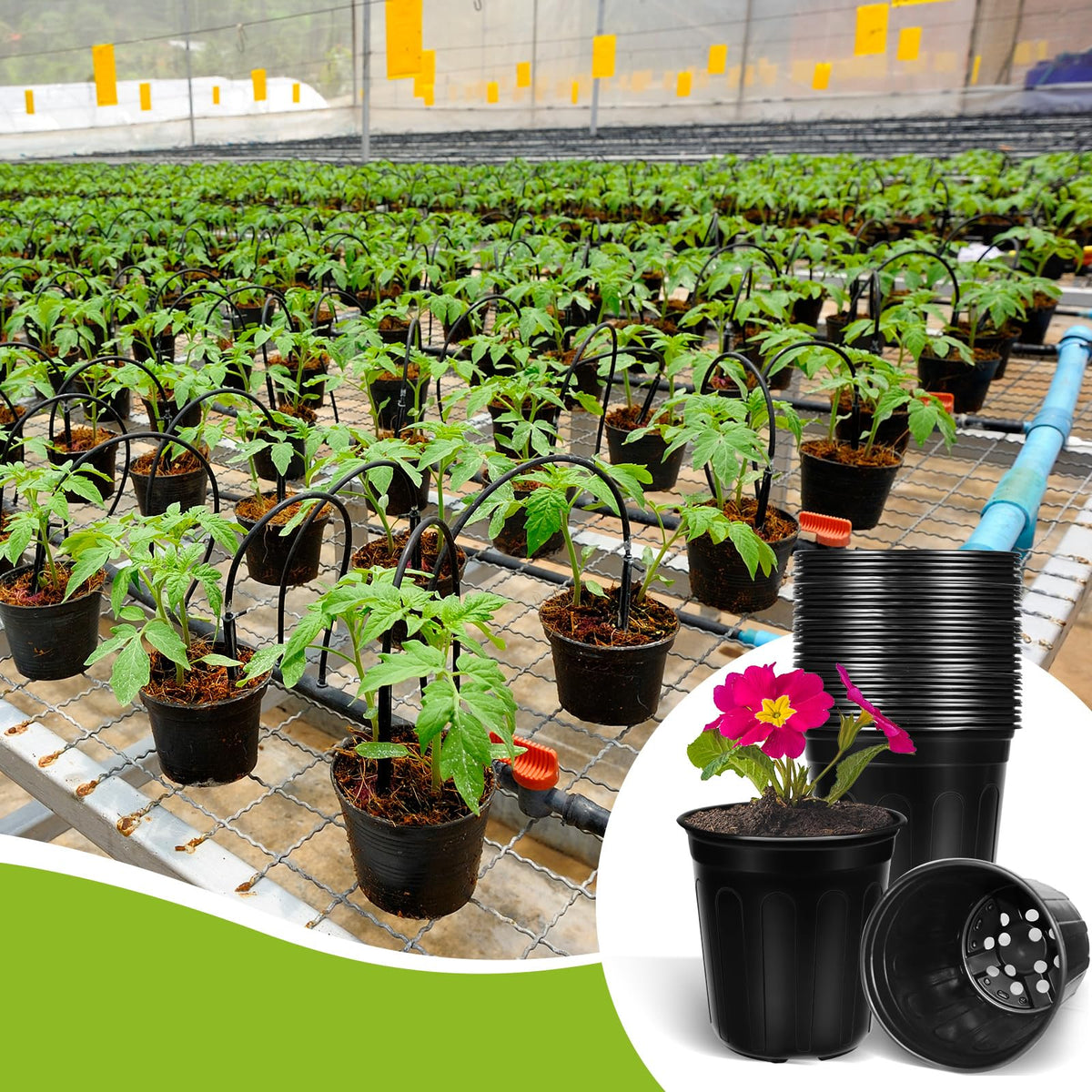BeapTcely reusable planters help organize seed starting and transplantation.