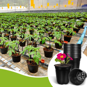 BeapTcely reusable planters help organize seed starting and transplantation.