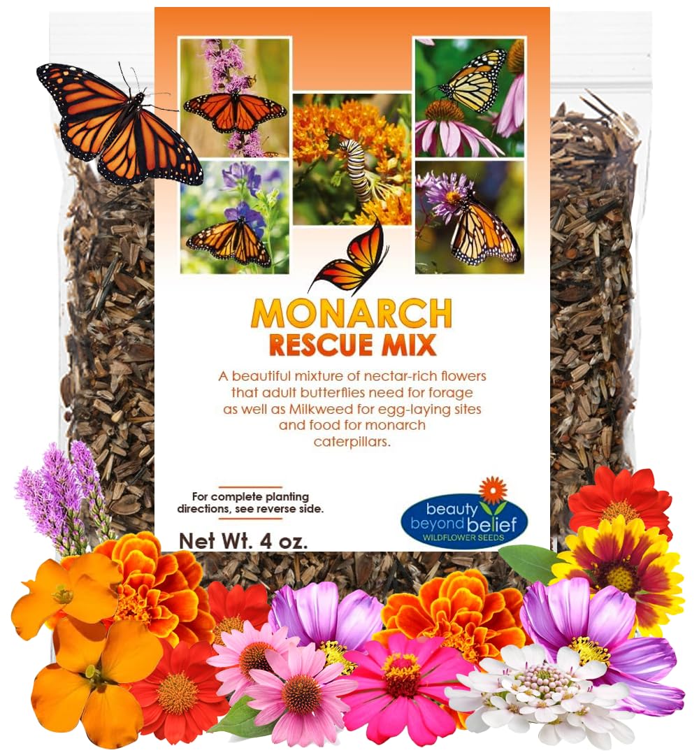 Beauty Beyond Belief Monarch Butterfly Rescue seeds front label highlighting open-pollinated traits.