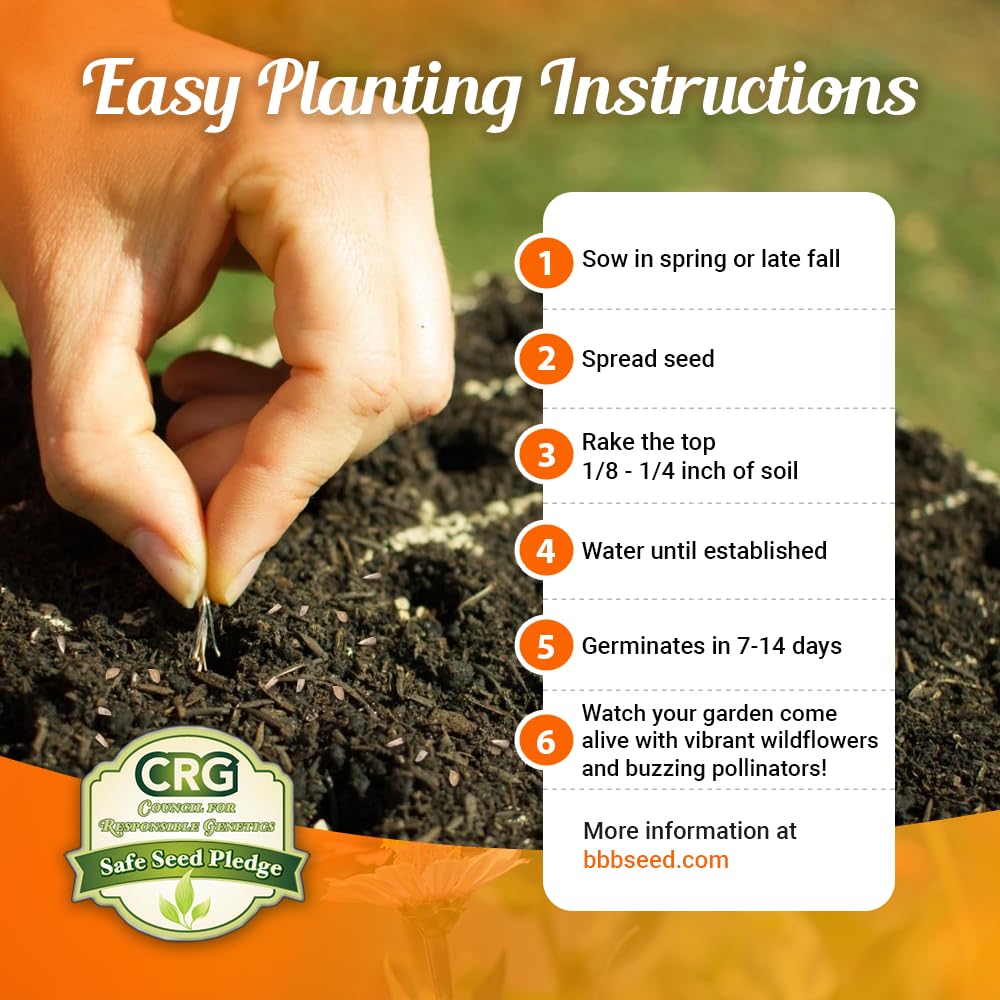 Beauty Beyond Belief open-pollinated seeds pack inside emphasizes purity and planting ease.