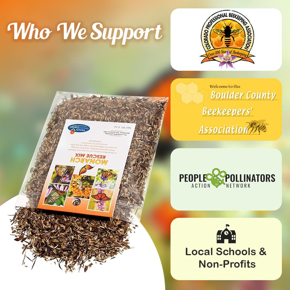 Beauty Beyond Belief seed pack with clear planting instructions for confident sowing.