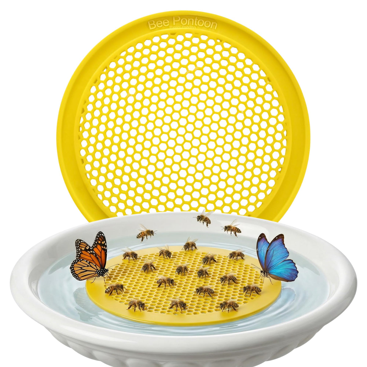 Bee Pontoon bee water station floats in a garden pond for pollinator hydration.