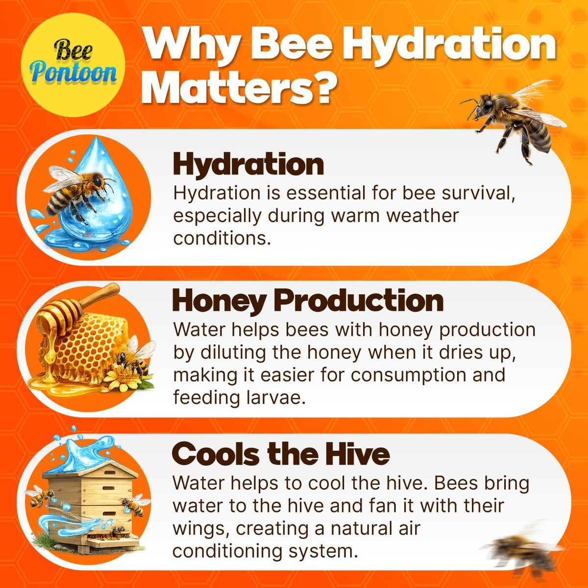 Bee Pontoon promotes biodiversity by inviting pollinators to visit.