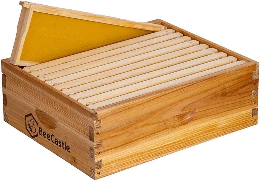 BeeCastle 10-frame honey super box, assembled for quick setup and durable cedar build.