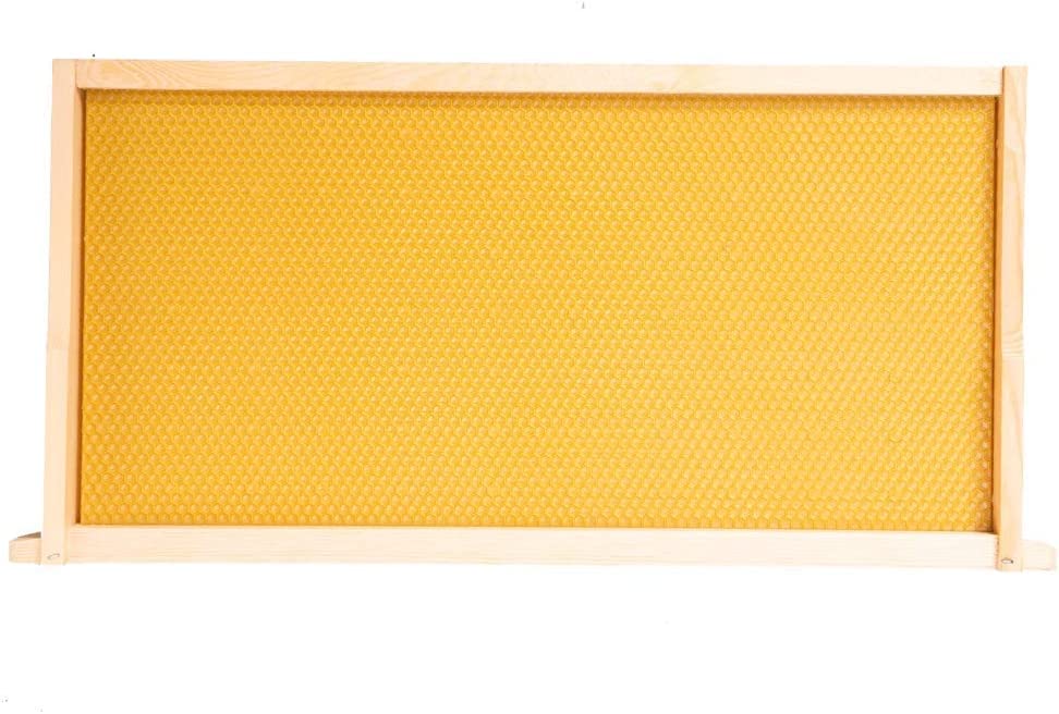 Close-up of wax-coated foundation sheets for quick hive acceptance.
