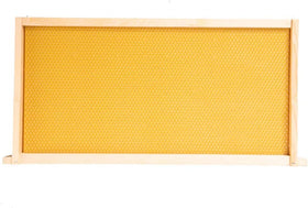 Close-up of wax-coated foundation sheets for quick hive acceptance.