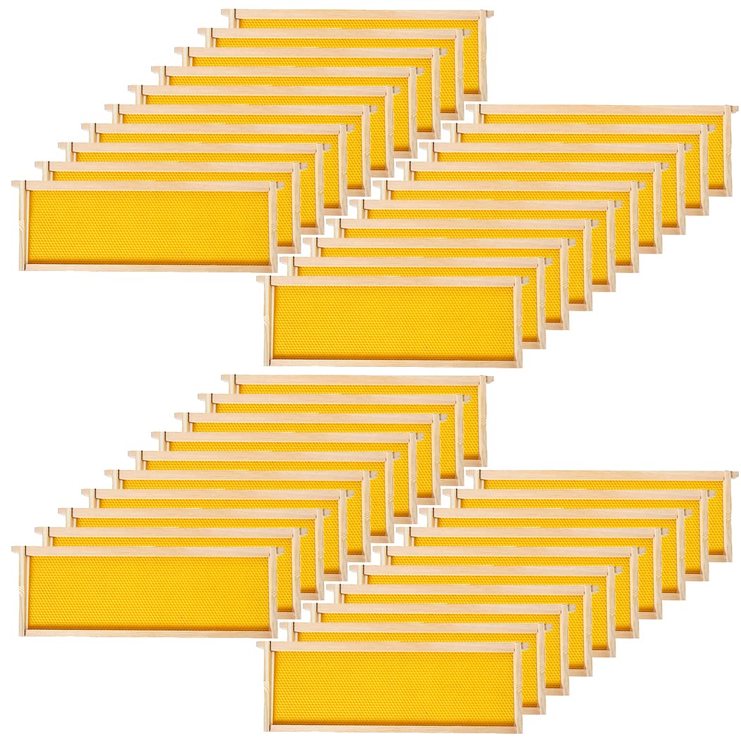 BeeCastle 40-pack beehive frames with waxed foundation for smooth hive setup