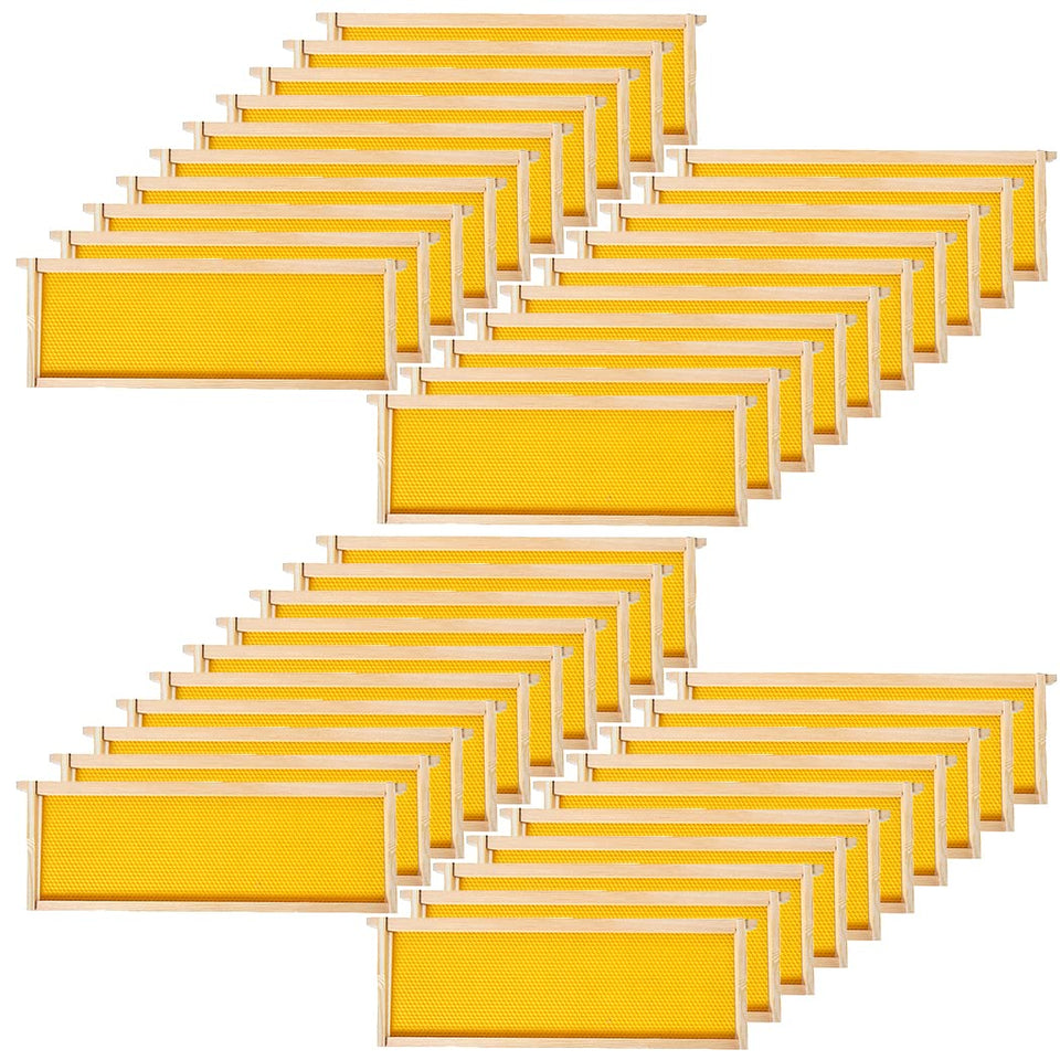 BeeCastle 40-pack beehive frames with waxed foundation for smooth hive setup