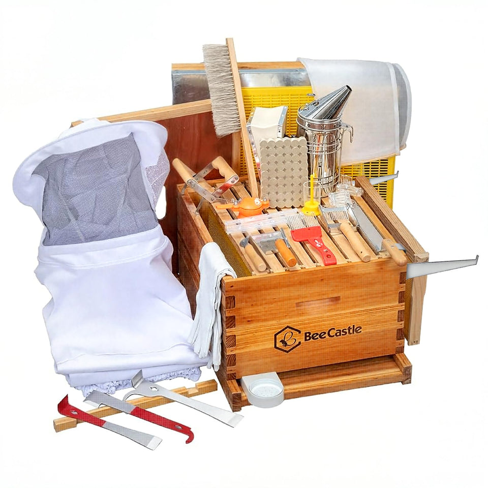 BeeCastle 8-frame hive kit with assembled deep brood box for easy beginner setup.