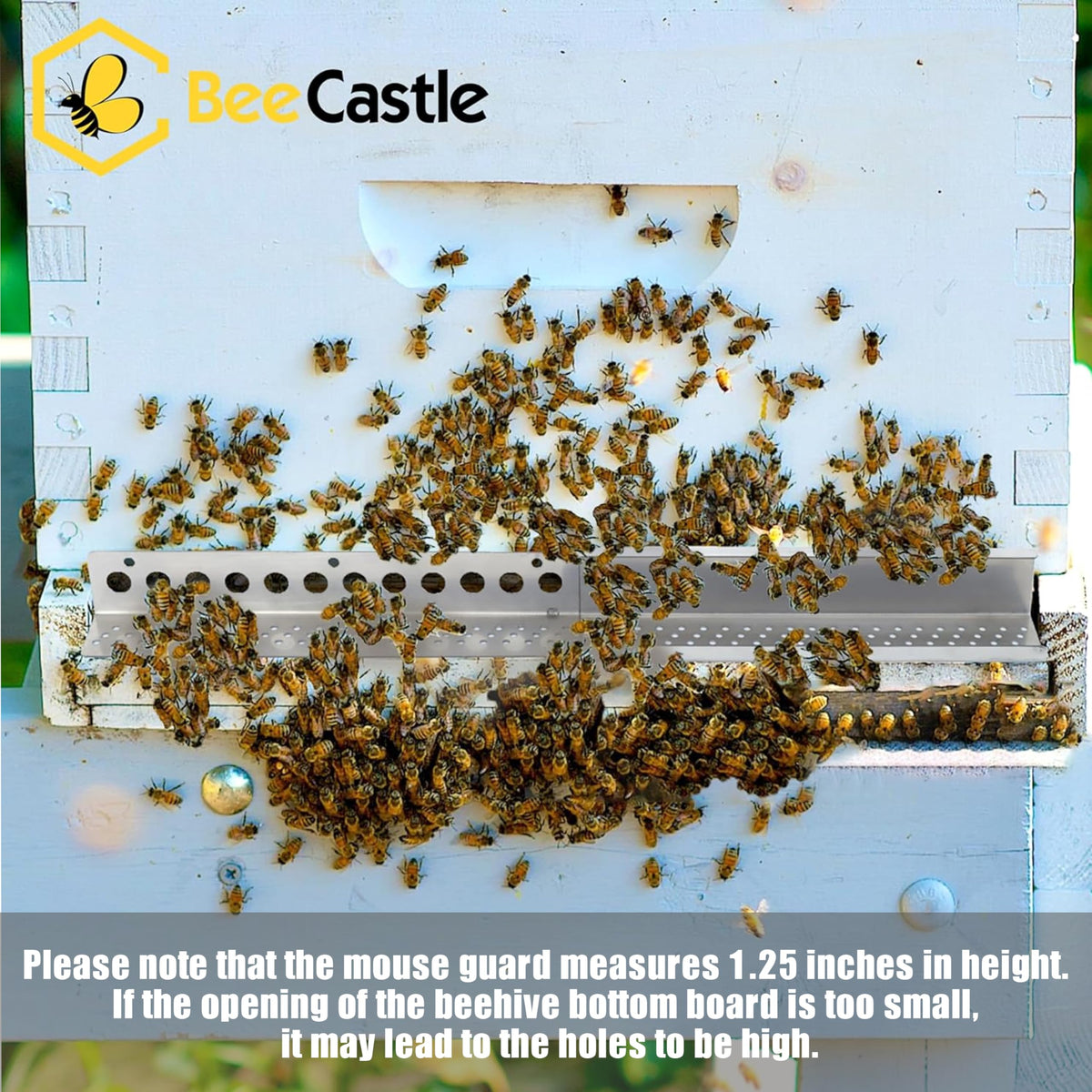 BeeCastle guard installed on an 8-frame hive demonstrating secure fit