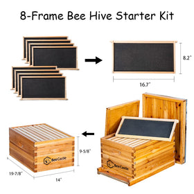 BeeCastle beekeeping suit with gloves for comfortable hive inspections.