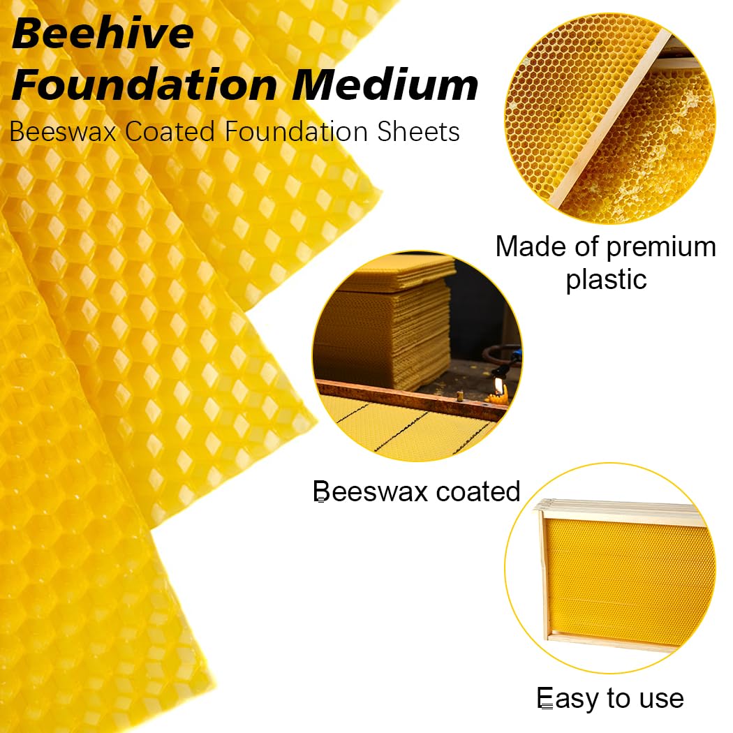 BeeCastle beeswax-coated foundation sheet promotes natural hive acceptance
