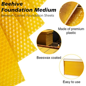 BeeCastle beeswax-coated foundation sheet promotes natural hive acceptance