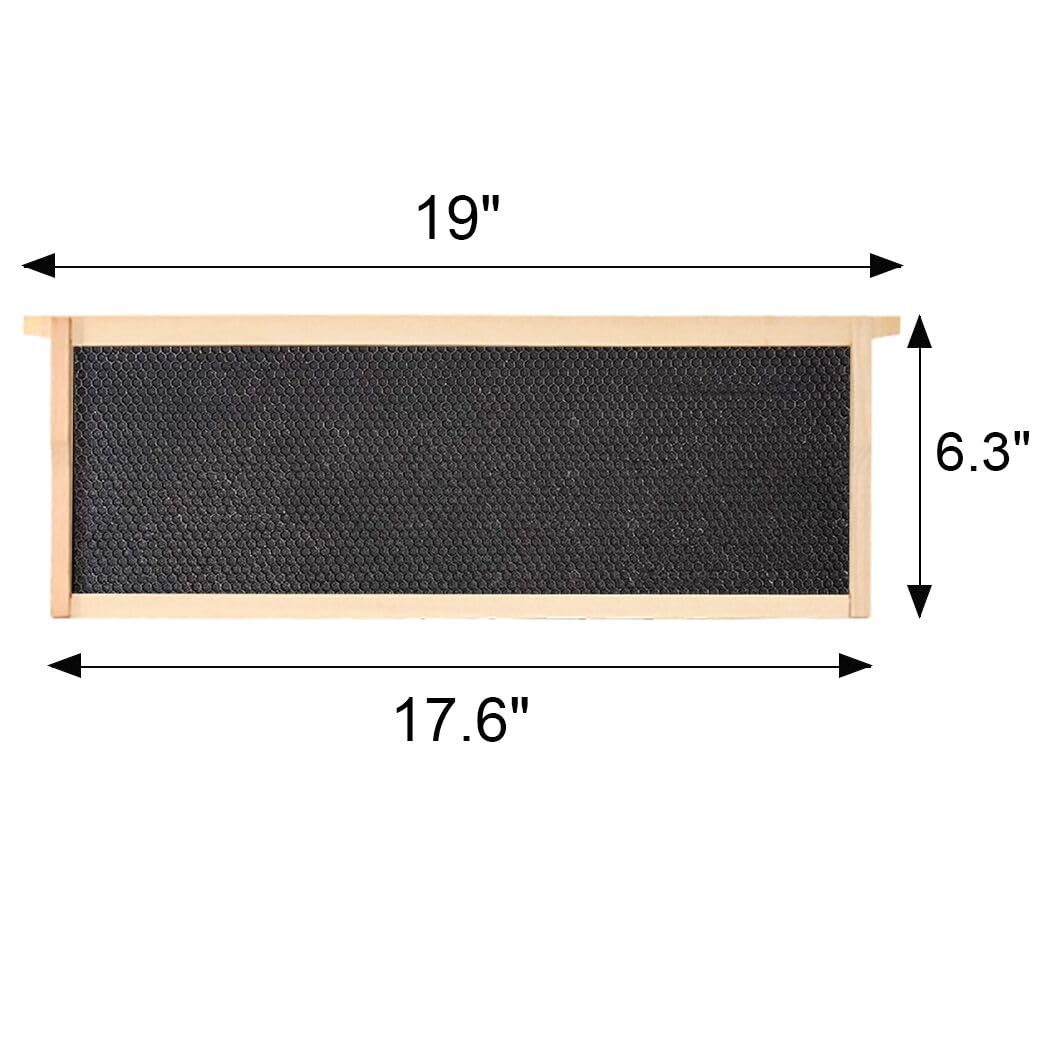 BeeCastle black frame facilitates clear inspection of bees and brood patterns