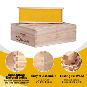 BeeCastle frames and waxed foundations included for immediate hive setup
