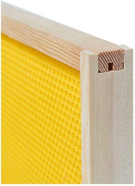 BeeCastle FSC-certified wood frames highlighting sustainability