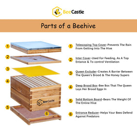 BeeCastle wax-dipped cedarwood exterior for durable, warp-resistant hive housing.
