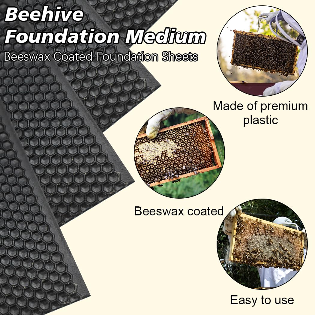 BeeCastle waxed foundation sheet for beehive medium frames, easy to use and bee-friendly.