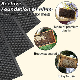 BeeCastle waxed foundation sheet for beehive medium frames, easy to use and bee-friendly.