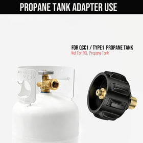 BeeGo propane regulator and hose compatibility in one setup.