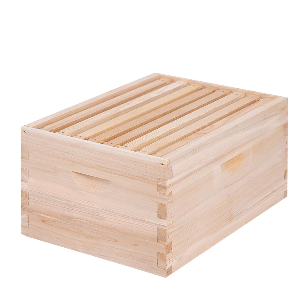 BeeINN 8-frame deep box front view shows durable cedar construction.