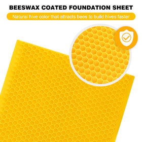 BEEINN foundation sheet shows 16.65 by 5.51 inch dimensions for medium frames.