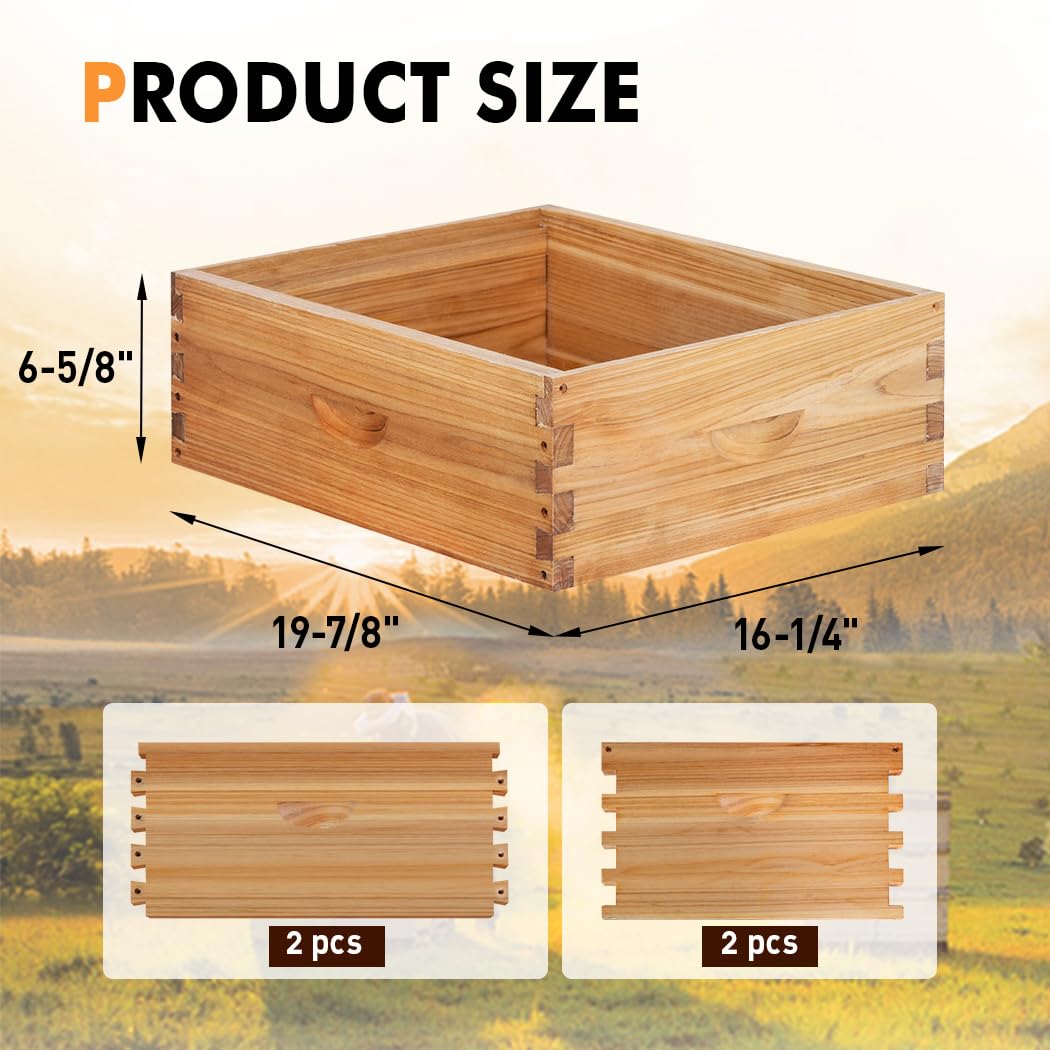 Beeknows beehive board front view highlights sturdy dovetail joints and weather-ready finish.