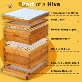 Entrance reducer and queen excluder from BEEKNOWS for versatile hive management.