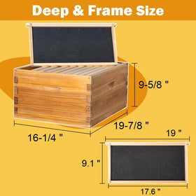 Kit dimensions include medium super and deep brood boxes for flexible brood and honey storage.
