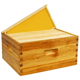 BeeQuestify 10-frame deep brood box with beeswax dipped foundation for easy colony start.