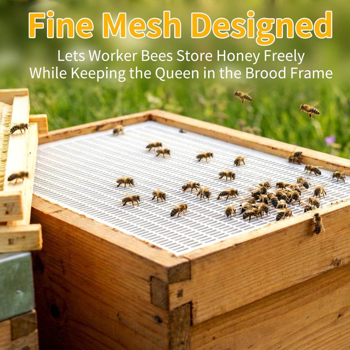 BeeQuestify 10-frame hive fit works with most hives for easy setup.