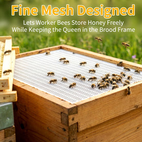 BeeQuestify 10-frame hive fit works with most hives for easy setup.