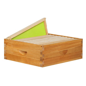 BeeQuestify 10-frame Langstroth box, top view, sturdy cedar wood for long-lasting hive housing