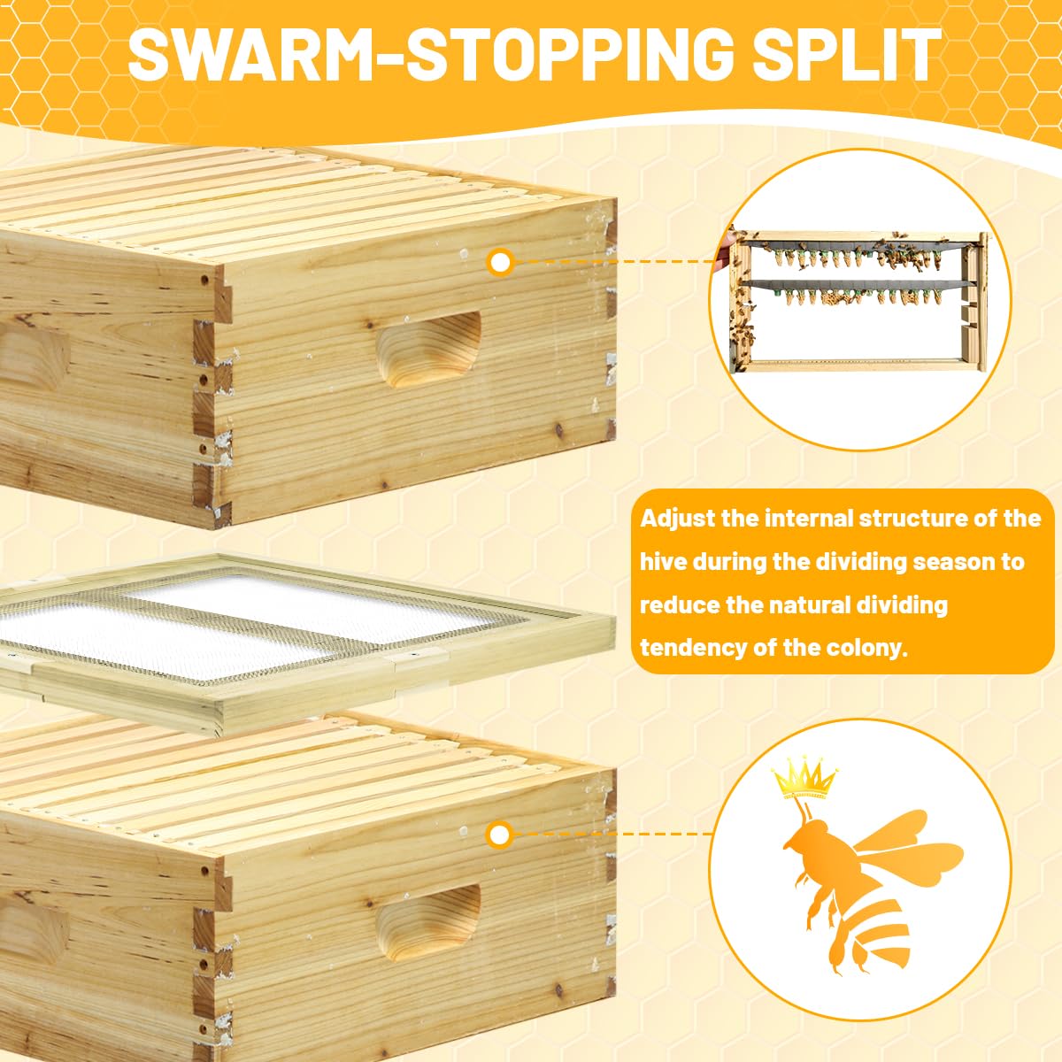 BeeQuestify Beehive Double Screen Board queen rearing setup with six flexible entrances.