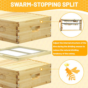 BeeQuestify Beehive Double Screen Board queen rearing setup with six flexible entrances.