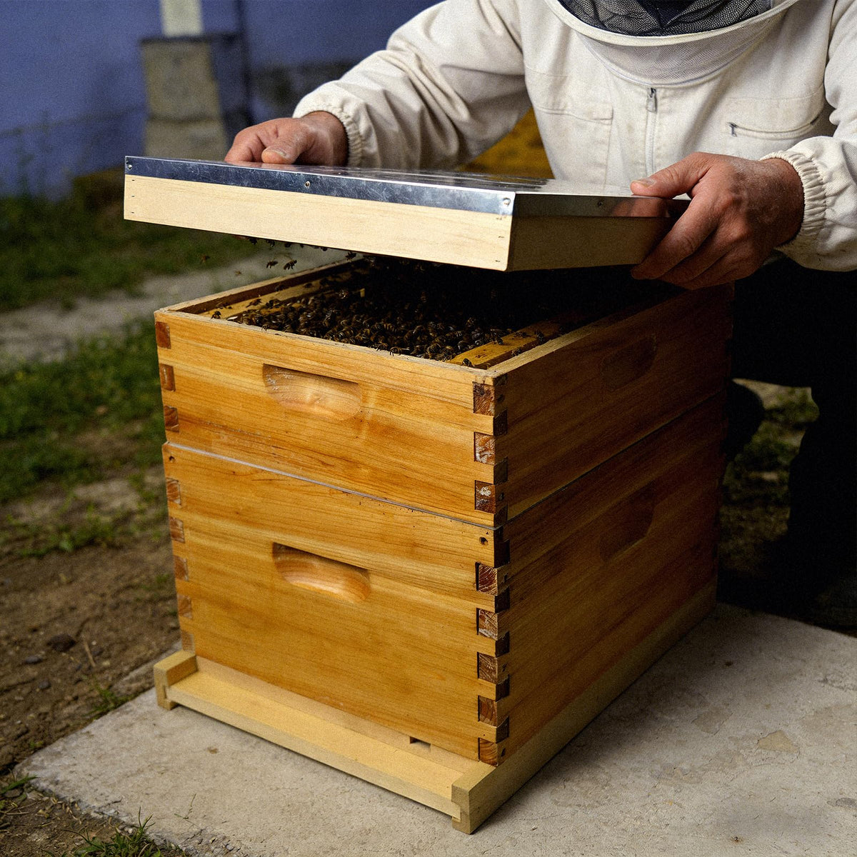 BeeQuestify beehive parts kit shows a complete starter setup in natural wood.