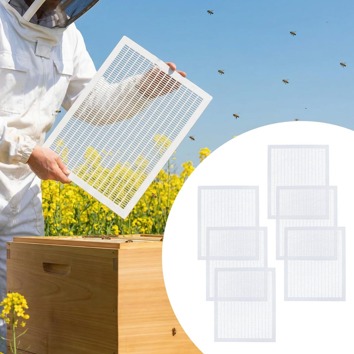 BeeQuestify excluder supports smoother honey harvests and clearer brood separation.
