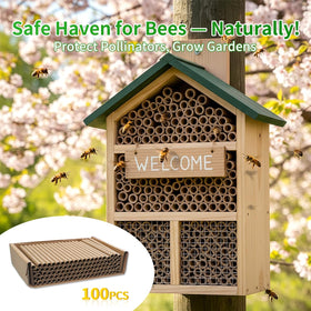 BeeQuestify Easy replacement system keeps mason bee housing tidy with no mess.